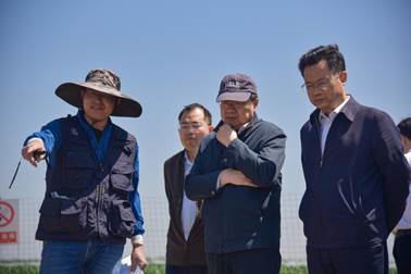 指点江山